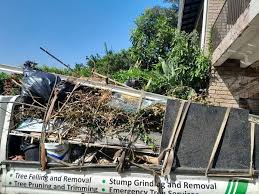 Best Commercial Junk Removal in Sisseton, SD